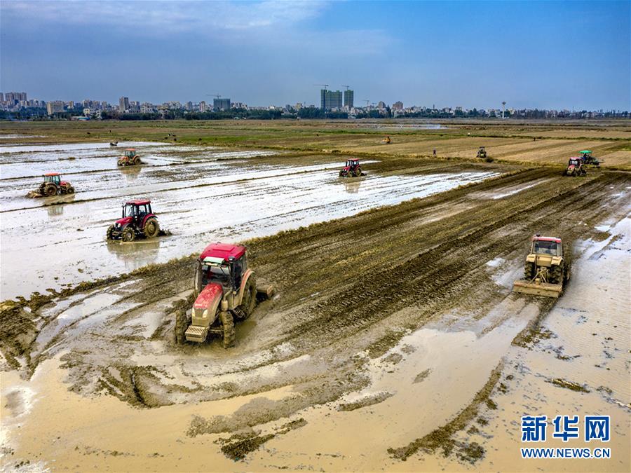 （圖文互動(dòng)）讓&ldquo;世界工廠&rdquo;心不慌&mdash;&mdash;廣東春耕生產(chǎn)見聞