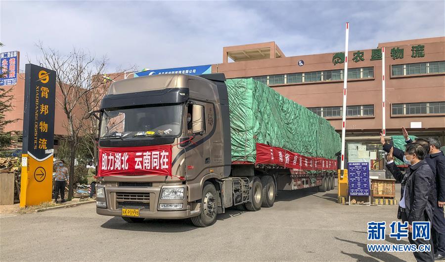（圖文互動）（3）青青園中葵 朝露待日晞&mdash;&mdash;云南組織蔬菜等農(nóng)產(chǎn)品支援湖北記略