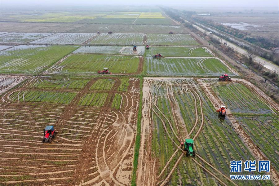 （抓好春耕備耕 穩(wěn)住農(nóng)業(yè)生產(chǎn)&middot;圖文互動(dòng)）（2）智能農(nóng)機(jī)、&ldquo;訂單&rdquo;服務(wù)、&ldquo;云端&rdquo;種菜&mdash;&mdash;來自江西的春耕&ldquo;新事&rdquo;