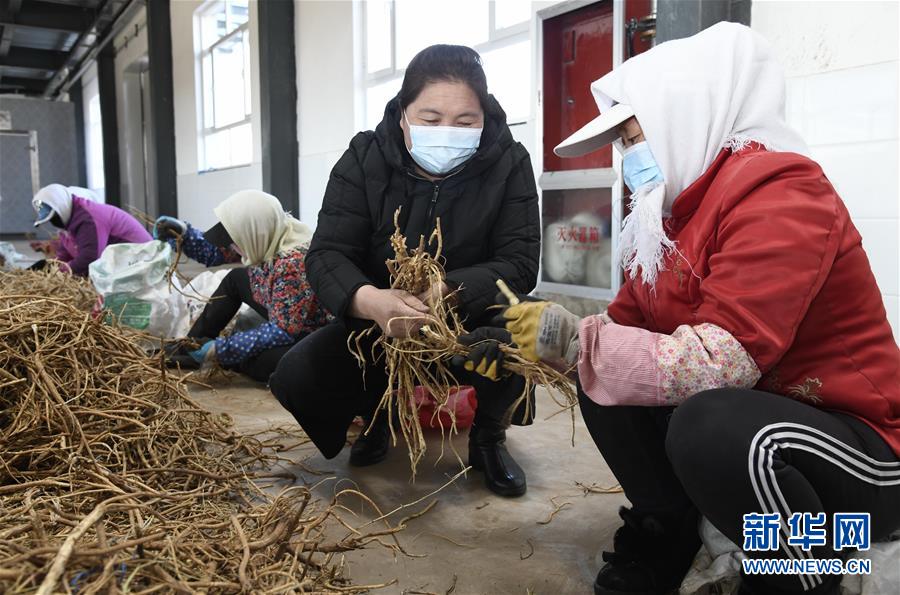 （新華全媒頭條&middot;圖文互動）（2）特殊時期，他們這樣履職&mdash;&mdash;全國人大代表這個春天在行動