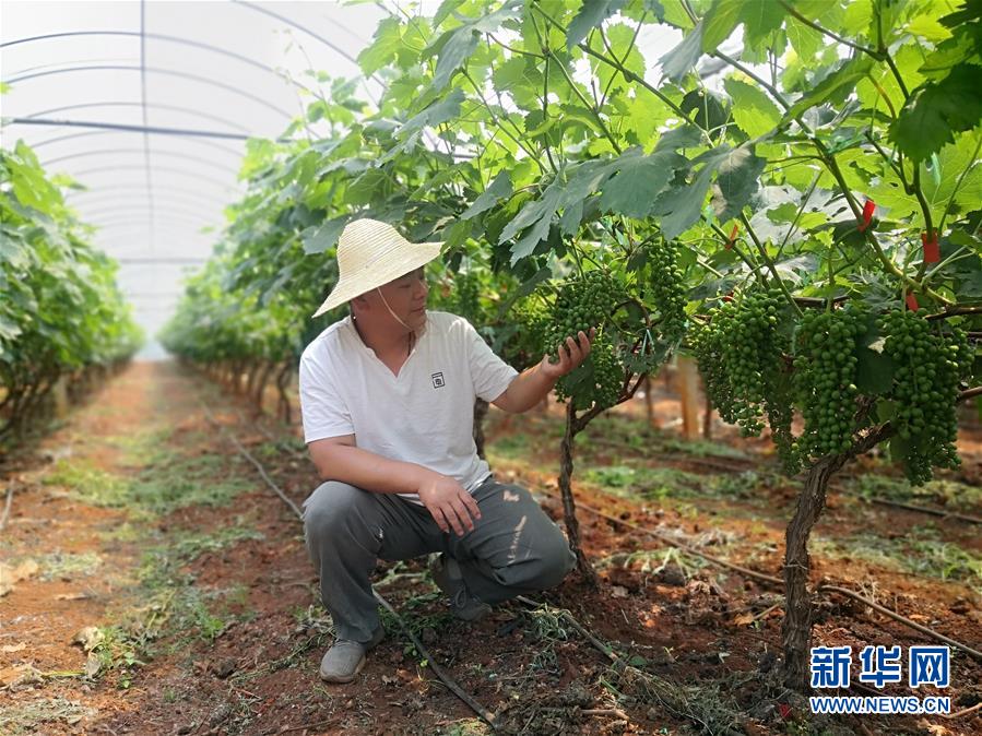（新華全媒頭條&middot;圖文互動(dòng)）（11）春色最濃在田間&mdash;&mdash;來自全國春耕備耕的現(xiàn)場觀察