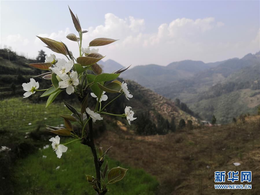 （決戰(zhàn)決勝脫貧攻堅&middot;圖文互動）（1）寄相思，償夙愿&mdash;&mdash;5封清明&ldquo;家書&rdquo;里的決戰(zhàn)決勝信念