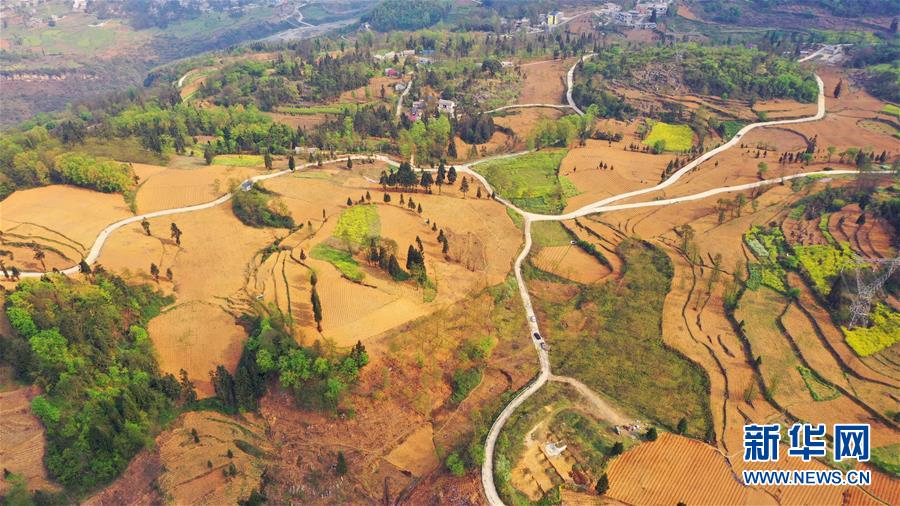 （決戰(zhàn)決勝脫貧攻堅&middot;圖文互動）（2）寄相思，償夙愿&mdash;&mdash;5封清明&ldquo;家書&rdquo;里的決戰(zhàn)決勝信念