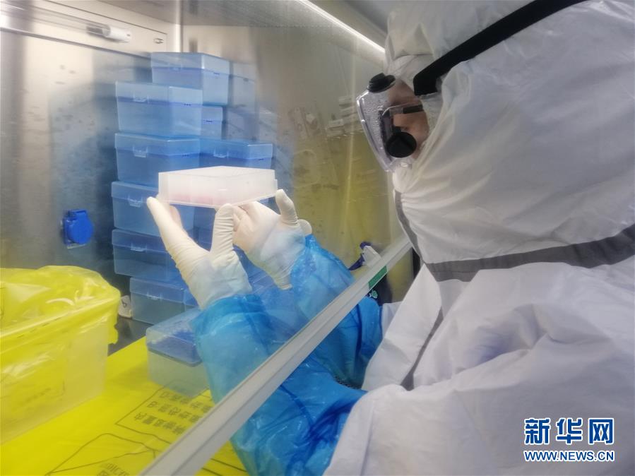 （一線抗疫群英譜&middot;圖文互動）（2）&ldquo;95后&rdquo;大學(xué)生郝鶯歌：退掉車票，她選擇直面病毒