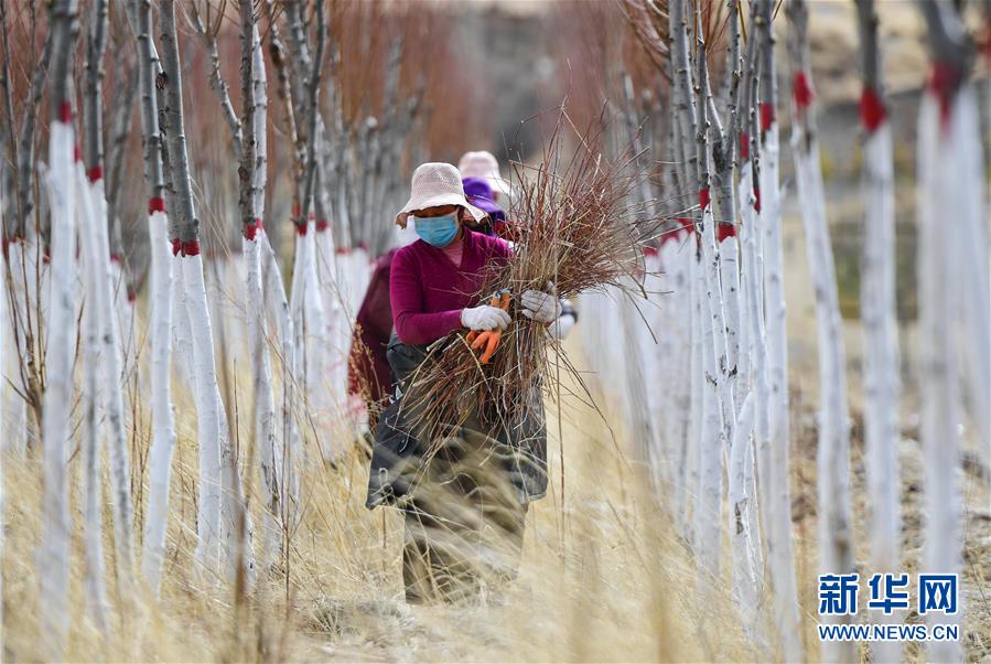 （新華全媒頭條&middot;圖文互動(dòng)）（14）三江之源見(jiàn)證中國(guó)奇跡&mdash;&mdash;寫(xiě)在玉樹(shù)地震10周年之際