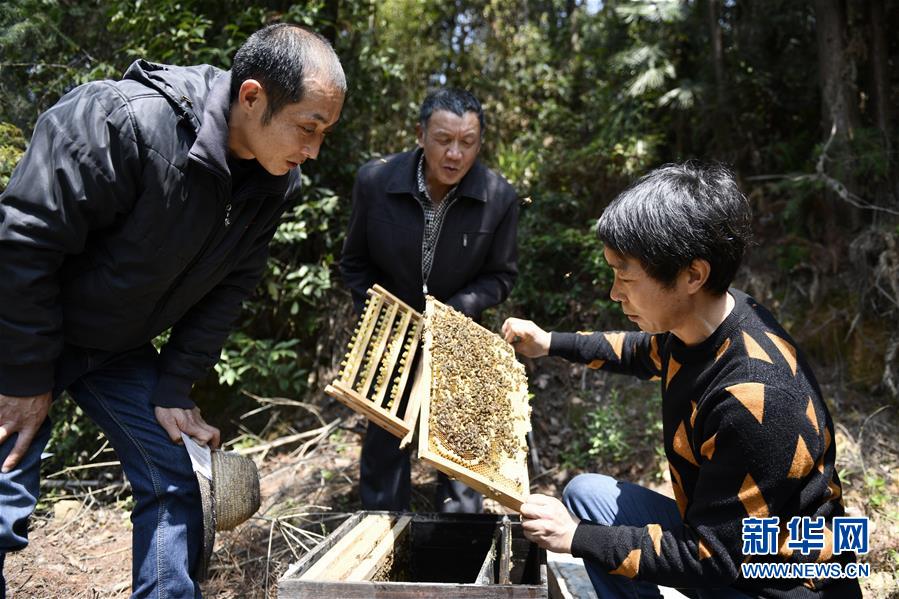 （決戰(zhàn)決勝脫貧攻堅&middot;圖文互動）（5）一位農(nóng)民的產(chǎn)業(yè)扶貧成績單 