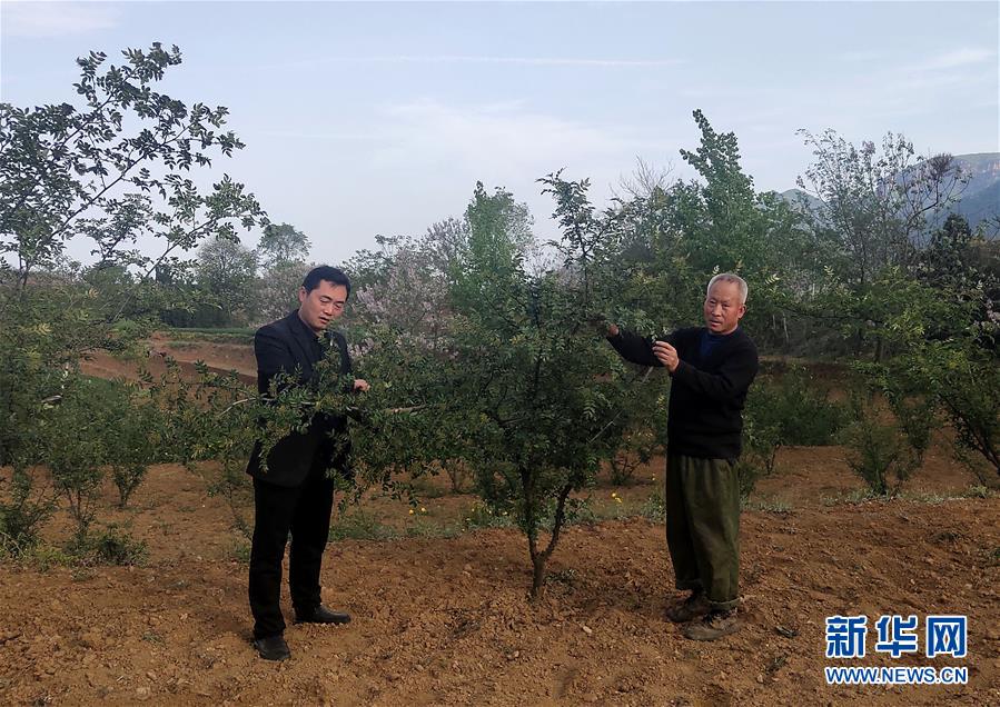 （新華全媒頭條&middot;圖文互動）（6）春天里的5個&ldquo;戰(zhàn)貧&rdquo;瞬間&mdash;&mdash;習(xí)近平總書記關(guān)于脫貧攻堅(jiān)決策部署指引攻克最后的深貧堡壘