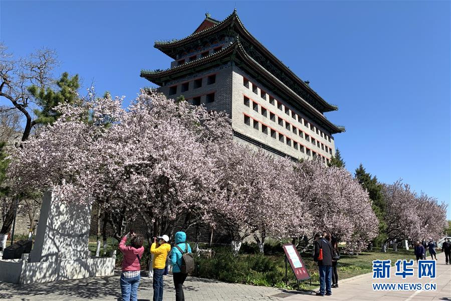 （新華全媒頭條&middot;圖文互動）（5）永遠(yuǎn)的夢想 永恒的追求&mdash;&mdash;寫在北京世園會開幕一周年之際