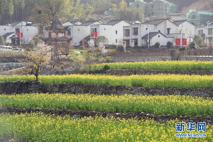（新華全媒頭條&middot;圖文互動）（1）紅土地上的&ldquo;綠色減貧&rdquo;決戰(zhàn)&mdash;&mdash;大別山&ldquo;將軍縣&rdquo;金寨脫貧紀(jì)實
