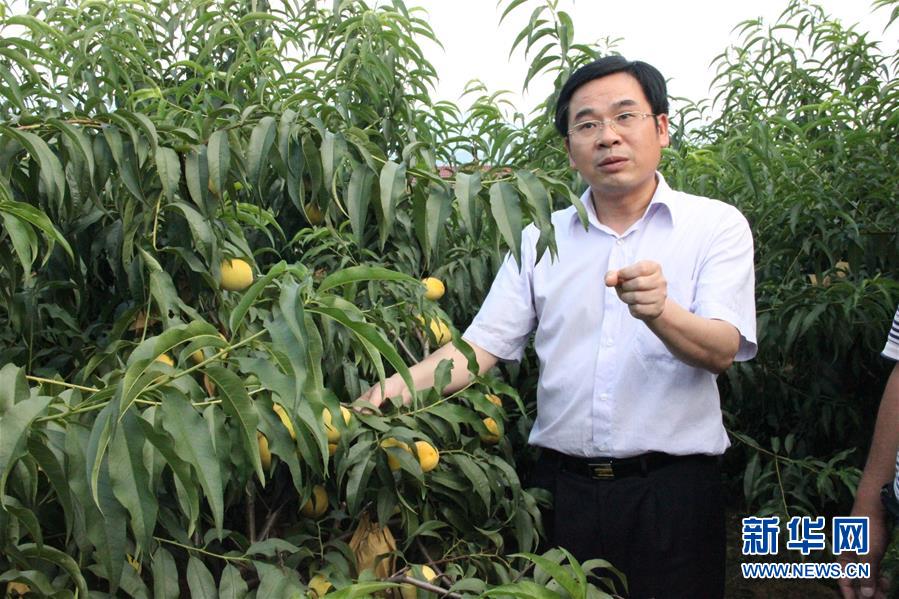 （圖文互動(dòng)）（2）&ldquo;為脫貧而來，為脫貧而去&rdquo;&mdash;&mdash;追記湖南炎陵縣委原書記黃詩燕 