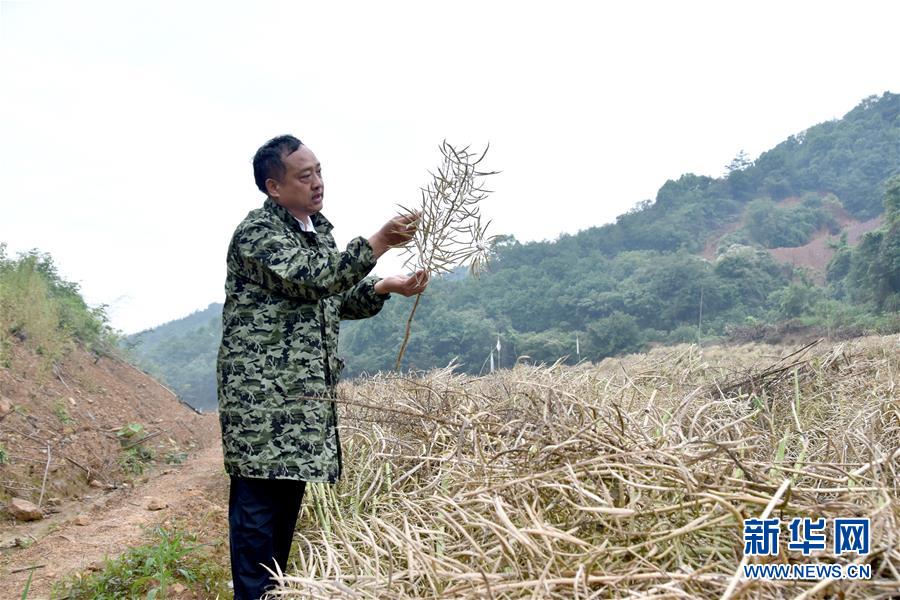（代表委員履職&middot;圖文互動）（1）&ldquo;我是農(nóng)民代表，始終關(guān)注農(nóng)村&rdquo;&mdash;&mdash;全國人大代表沈昌健的履職故事