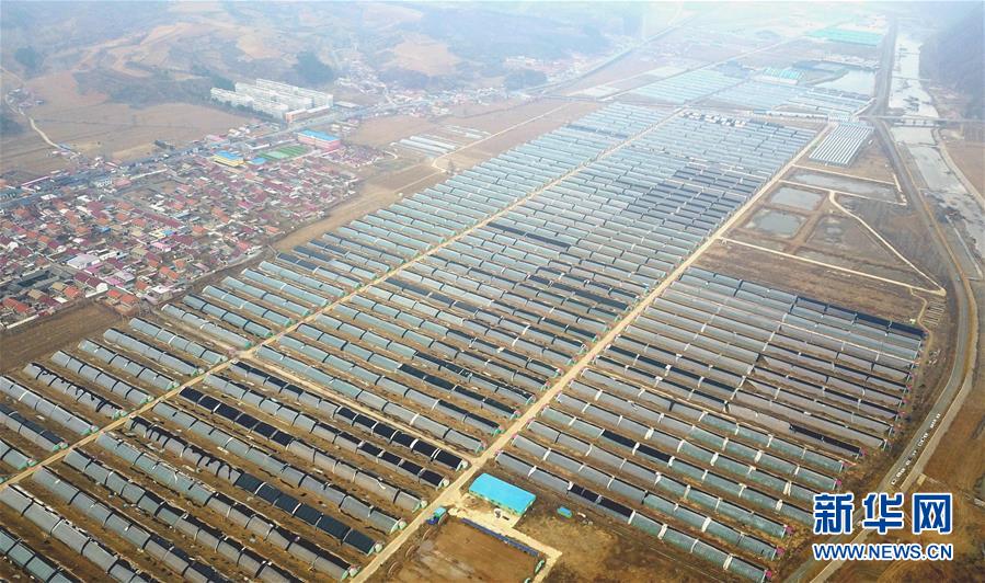 (新華全媒頭條·圖文互動(dòng))(5)且看信心如何讓黃土變成金——“環(huán)京津貧困帶”整體脫貧記