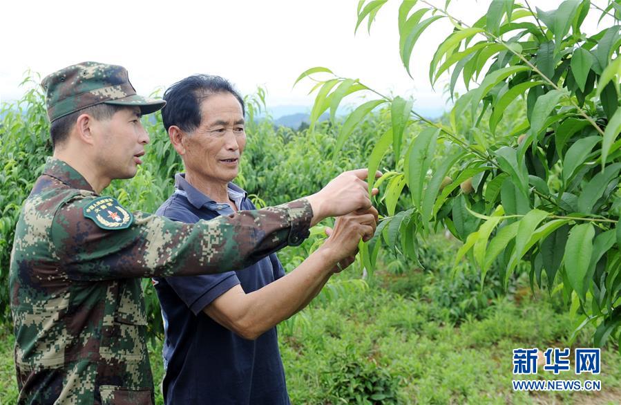 （代表委員履職&middot;圖文互動(dòng)）（2）跑遍山寨送希望 奔波萬(wàn)里助脫貧&mdash;&mdash;全國(guó)人大代表周豐林履職記