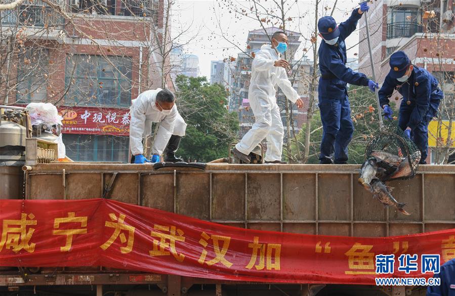 （新華全媒頭條&middot;圖文互動）（12）從人民中汲取磅礴力量&mdash;&mdash;習(xí)近平總書記同出席2020年全國兩會人大代表、政協(xié)委員共商國是紀(jì)實