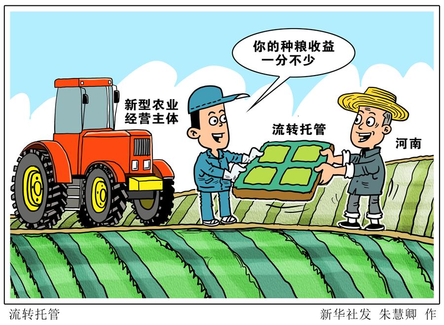 （圖表&middot;漫畫(huà)）［關(guān)注三夏］流轉(zhuǎn)托管