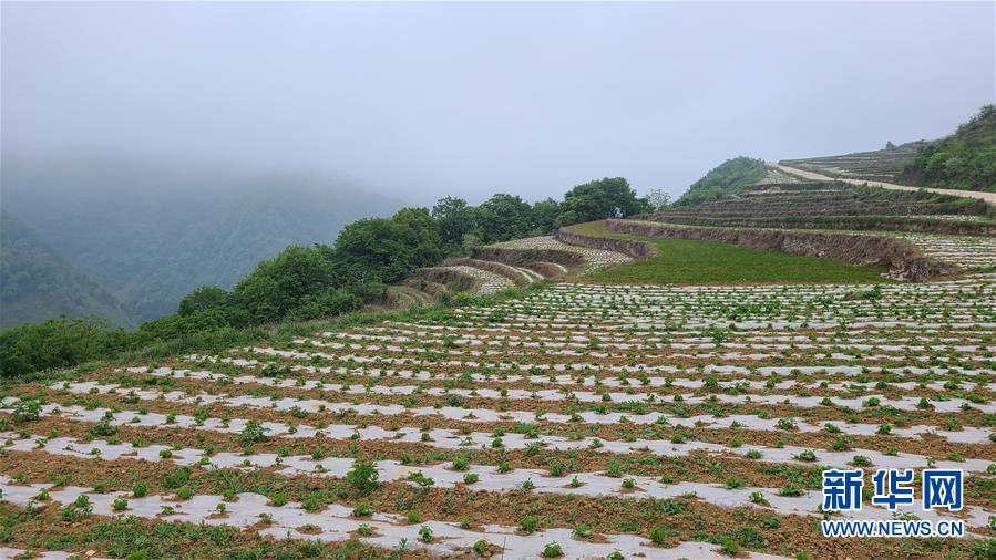 （決戰(zhàn)決勝脫貧攻堅&middot;圖文互動）（3）喚醒&ldquo;沉睡的大山&rdquo;&mdash;&mdash;&ldquo;經(jīng)營鄉(xiāng)村&rdquo;讓烏蒙山極貧鄉(xiāng)變了&ldquo;模樣&rdquo;