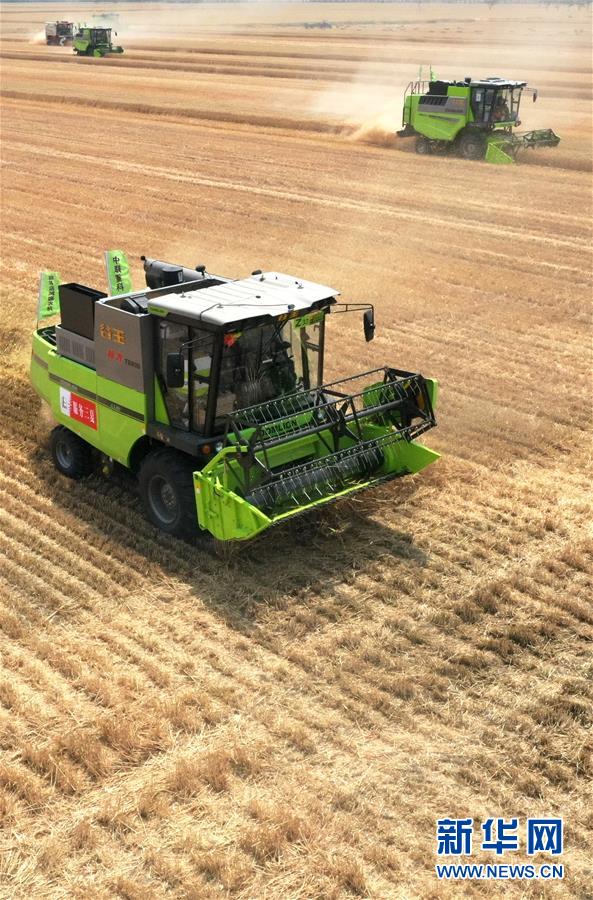 （在習近平新時代中國特色社會主義思想指引下&mdash;&mdash;新時代新作為新篇章&middot;習近平總書記關切事&middot;圖文互動）（13）讓農民挑上&ldquo;金扁擔&rdquo;&mdash;&mdash;農業(yè)現代化的生動實踐掃描