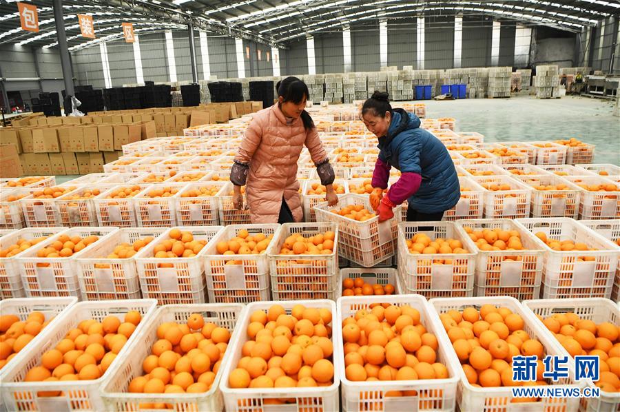 （新華全媒頭條&middot;圖文互動(dòng)）（6）待到滿山紅葉時(shí)&mdash;&mdash;三峽重慶庫區(qū)踐行新發(fā)展理念面面觀