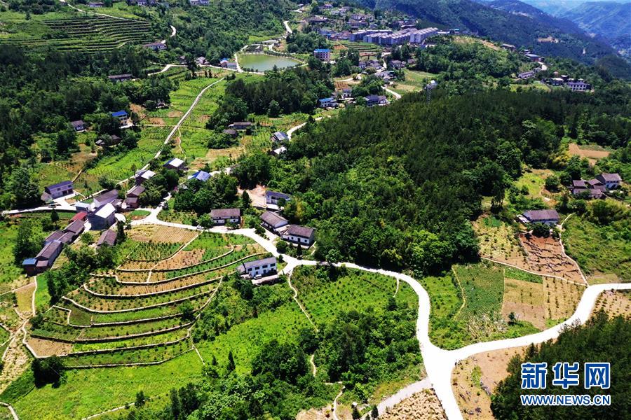 （新華全媒頭條&middot;圖文互動(dòng)）（11）待到滿山紅葉時(shí)&mdash;&mdash;三峽重慶庫區(qū)踐行新發(fā)展理念面面觀