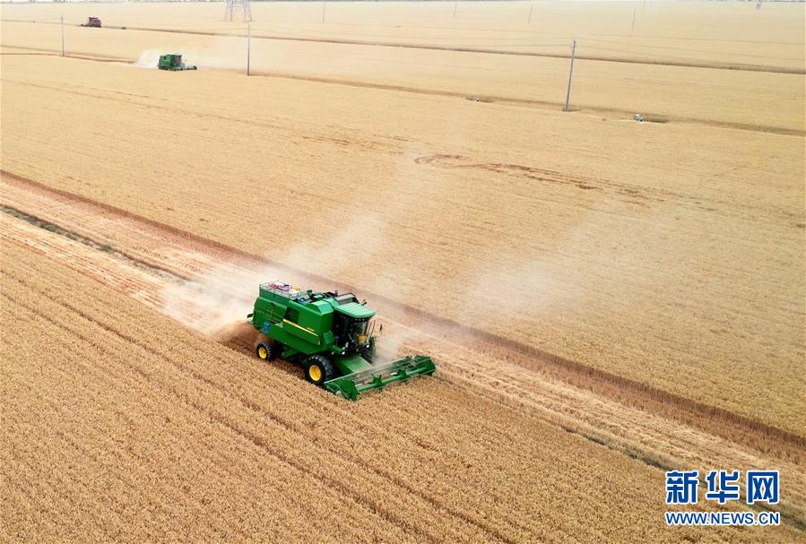 （新華全媒頭條&middot;圖文互動(dòng)）（5）庚子之豐&mdash;&mdash;2020年河南夏糧豐收?qǐng)D景