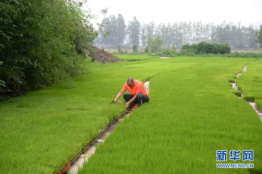 （圖文互動(dòng)）（2）&ldquo;以萬全準(zhǔn)備防萬一發(fā)生&rdquo;&mdash;&mdash;安徽沿淮地區(qū)防汛備汛見聞