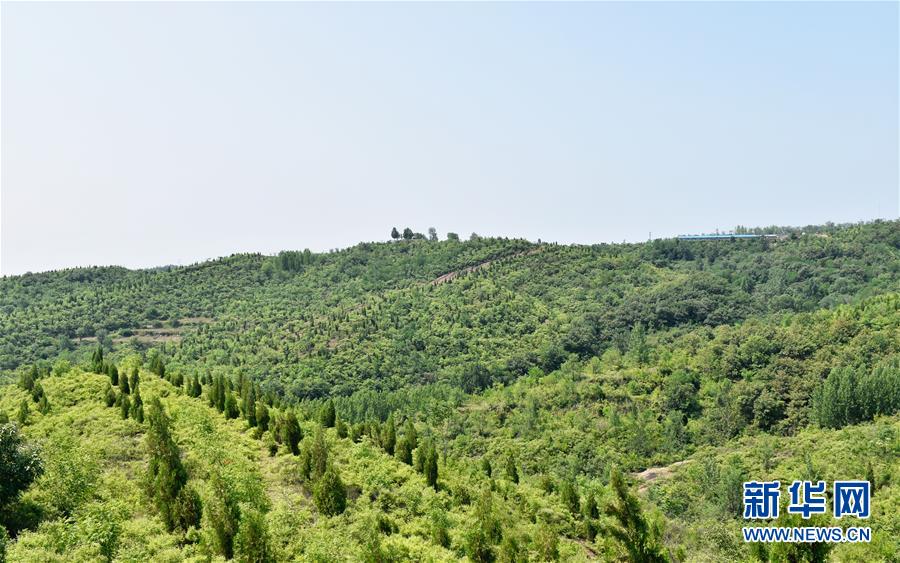 （決戰(zhàn)決勝脫貧攻堅(jiān)&middot;圖文互動(dòng)）（1）&ldquo;愚公&rdquo;治山