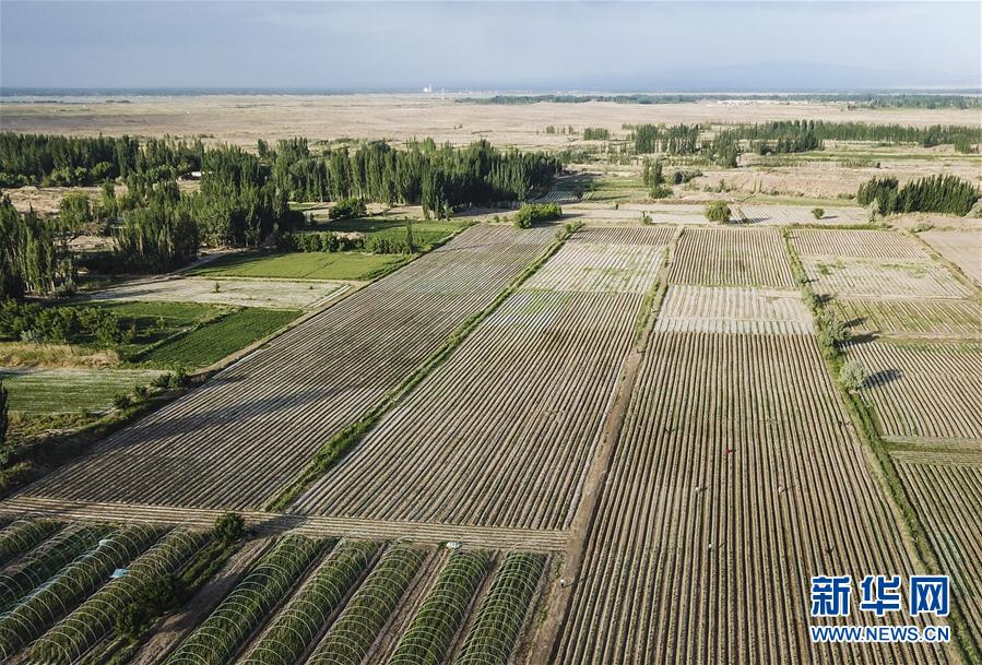 (圖文互動(dòng))(2)“沙漠高地”的美好家園