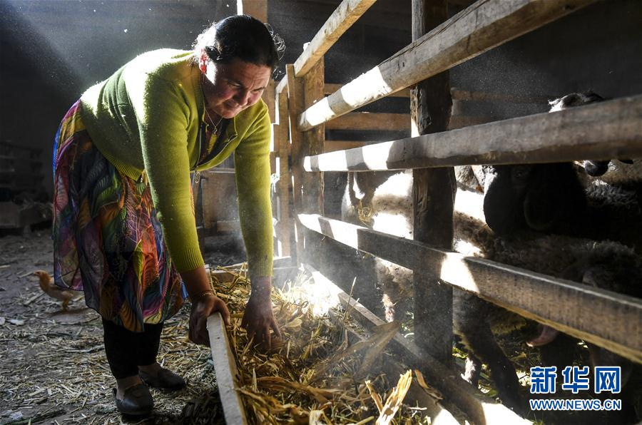 (圖文互動(dòng))(7)“沙漠高地”的美好家園