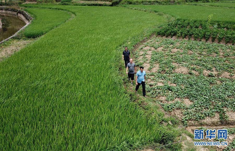 （圖文互動(dòng)）（6）湘南深山，堅(jiān)守扶貧一線的黨員之家