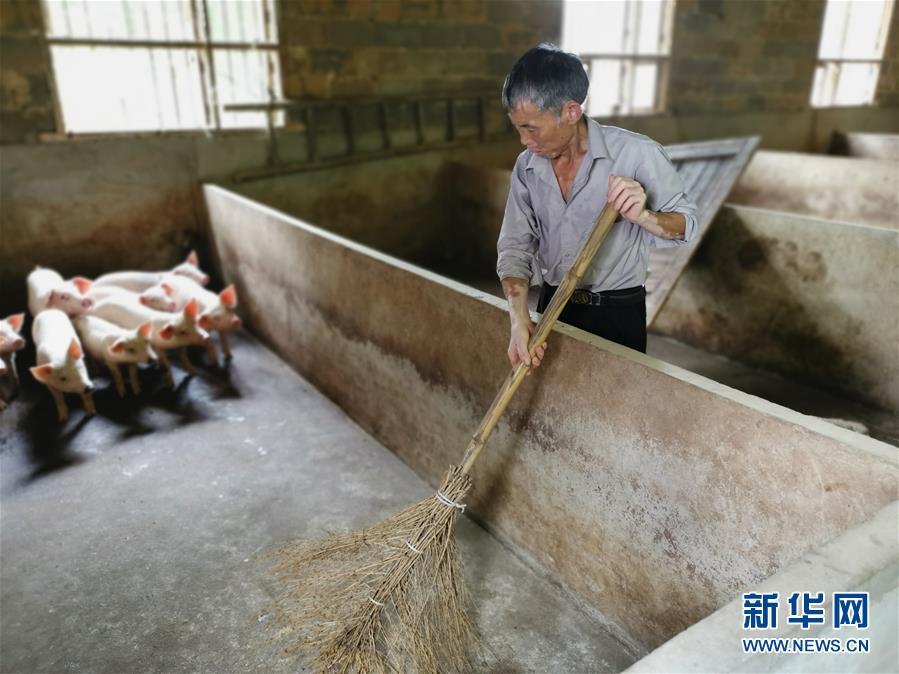 （走向我們的小康生活&middot;圖文互動(dòng)）（2）長沙：以&ldquo;繡花功&rdquo;精準(zhǔn)攻破&ldquo;插花貧&rdquo;
