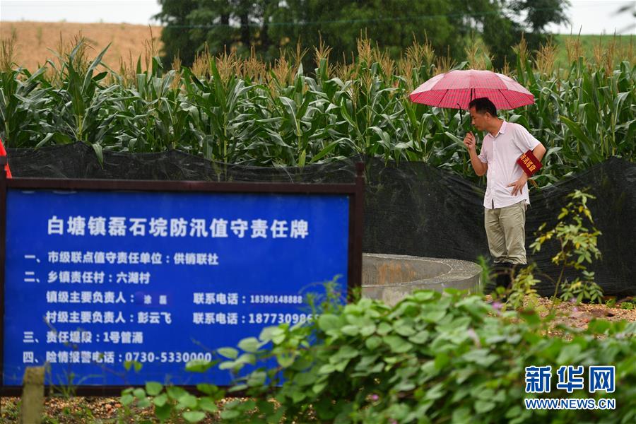 （防汛抗洪&middot;圖文互動）（1）&ldquo;險情不可怕，可怕的是不能及時發(fā)現(xiàn)險情&rdquo;&mdash;&mdash;洞庭湖巡堤查險現(xiàn)場直擊