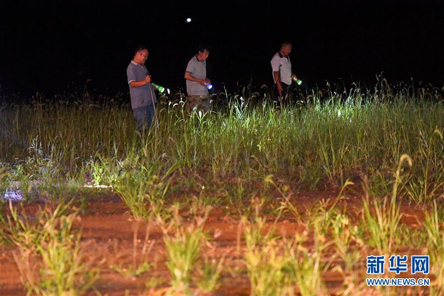 （防汛抗洪&middot;圖文互動(dòng)）（2）&ldquo;保衛(wèi)家園，誰(shuí)都不能是旁觀者&rdquo;&mdash;&mdash;夜訪洞庭湖大堤防汛一線