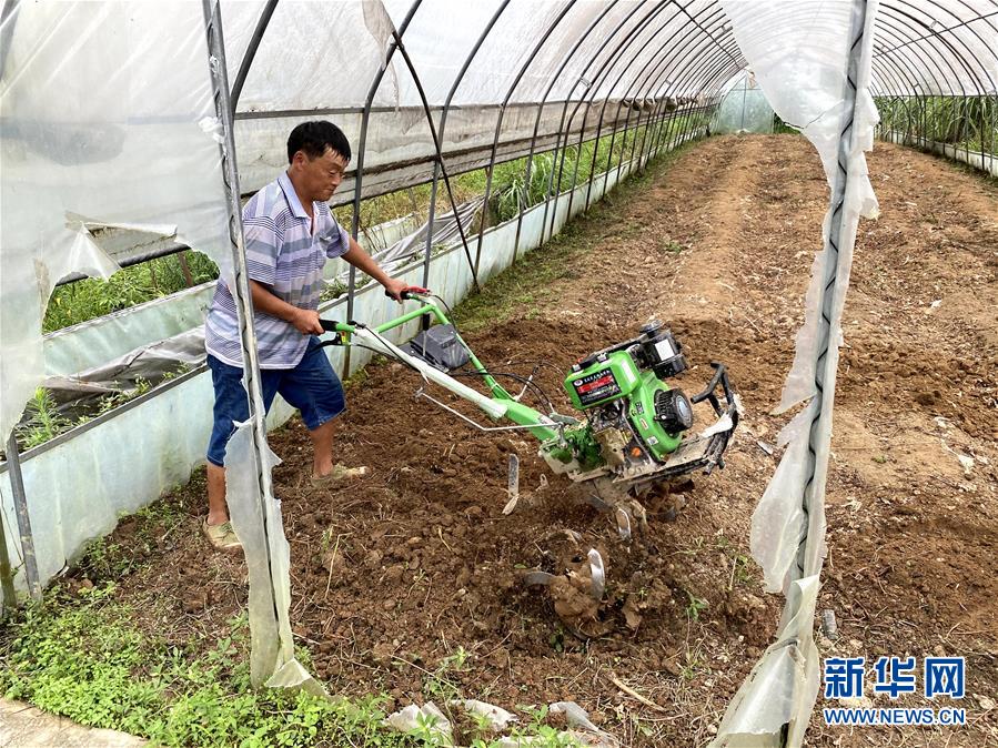 （防汛抗洪&middot;圖文互動(dòng)）（3）修路通水忙重建 補(bǔ)種搶收復(fù)生產(chǎn)&mdash;&mdash;湘西山洪后恢復(fù)生產(chǎn)生活見聞