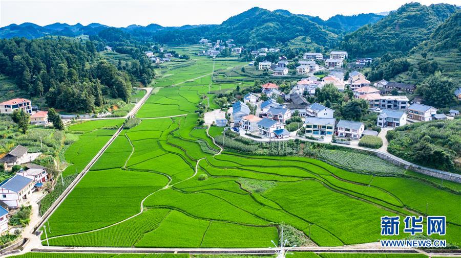 （走向我們的小康生活&middot;圖文互動）（1）紅色圣地的&ldquo;初心答卷&rdquo;&mdash;&mdash;革命老區(qū)遵義肝膽相照寫征程