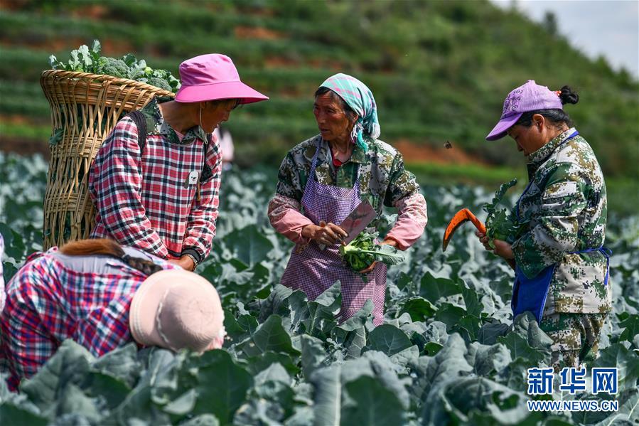 （新華全媒頭條&middot;走向我們的小康生活&middot;圖文互動(dòng)）（10）三幅&ldquo;圖鑒&rdquo;說(shuō)變遷&mdash;&mdash;貴州&ldquo;穿越時(shí)空&rdquo;的脫貧印記