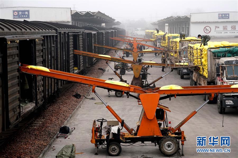 （在習近平新時代中國特色社會主義思想指引下&mdash;&mdash;新時代新作為新篇章&middot;習近平總書記關切事&middot;圖文互動）（5）食為政首&mdash;&mdash;穩(wěn)住農(nóng)業(yè)基本盤增添發(fā)展底氣