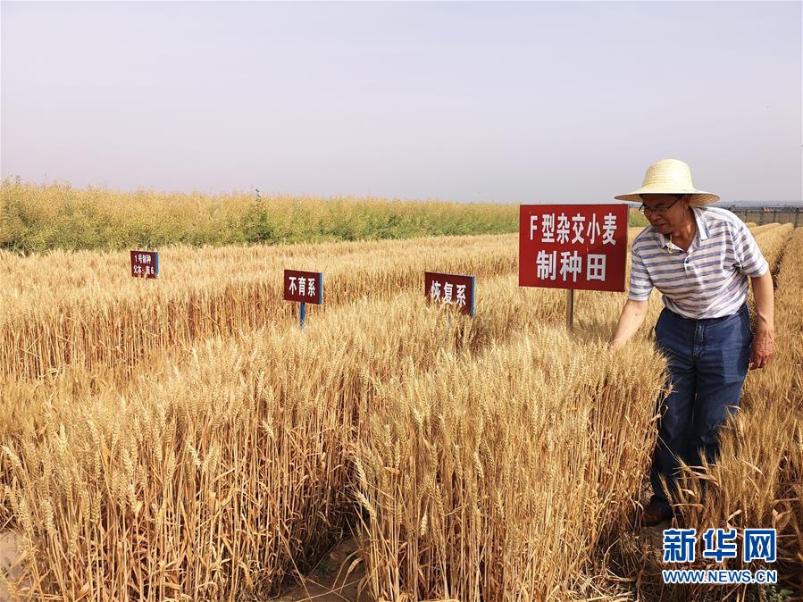 （在習近平新時代中國特色社會主義思想指引下&mdash;&mdash;新時代新作為新篇章&middot;習近平總書記關切事&middot;圖文互動）（3）讓百姓吃得飽還要吃得好&mdash;&mdash;夯實糧食安全基礎端牢中國飯碗
