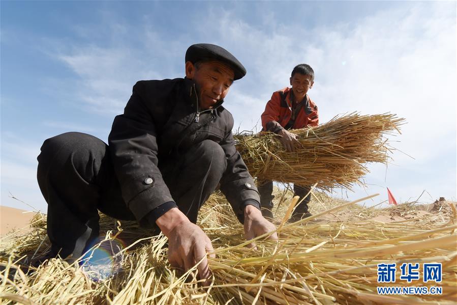 （在習近平新時代中國特色社會主義思想指引下&mdash;&mdash;新時代新作為新篇章&middot;習近平總書記關(guān)切事&middot;圖文互動）（5）綠色映底蘊，山水見初心&mdash;&mdash;生態(tài)優(yōu)先、綠色發(fā)展持續(xù)造福群眾美好生活
