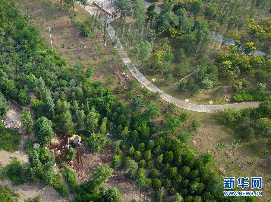 （新華全媒頭條&middot;圖文互動(dòng)）（15）扎實(shí)推進(jìn)籌辦，不負(fù)青春韶華&mdash;&mdash;北京冬奧會(huì)籌辦備戰(zhàn)克服疫情影響平穩(wěn)推進(jìn)