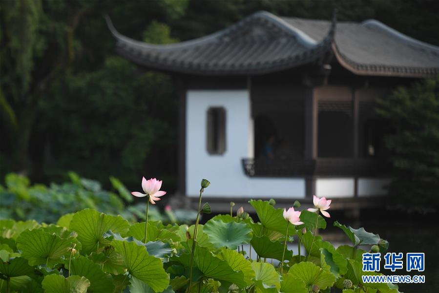 （新華全媒頭條&middot;圖文互動）（7）錢塘今朝更繁華&mdash;&mdash;高水平小康的&ldquo;杭州答卷&rdquo;
