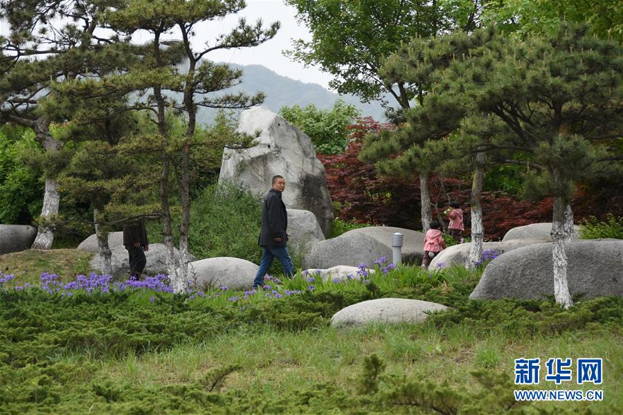 （新華視點&middot;圖文互動）（1）警惕重金&ldquo;移石造景&rdquo;之風：有的景觀石一塊逾百萬元