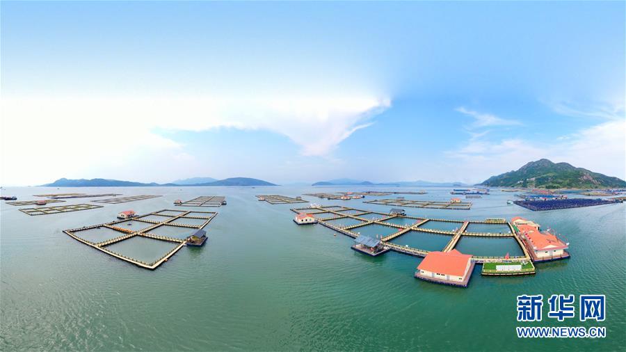 （新華全媒頭條&middot;走向我們的小康生活&middot;圖文互動(dòng)）（3）弱鳥先飛今翱翔&mdash;&mdash;閩東寧德振興啟示錄