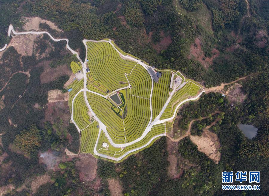 （新華全媒頭條&middot;圖文互動）（3）生態(tài)文明之光照耀美麗中國&mdash;&mdash;寫在綠水青山就是金山銀山理念提出15周年之際
