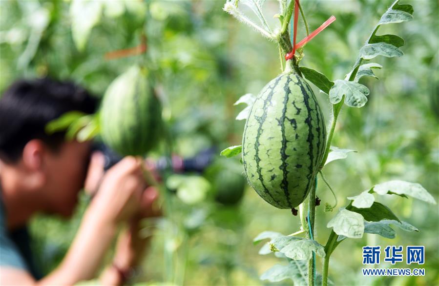 （新華全媒頭條&middot;走向我們的小康生活&middot;圖文互動(dòng)）（10）幸福小康入畫來(lái)&mdash;&mdash;齊魯大地描繪小康新畫卷