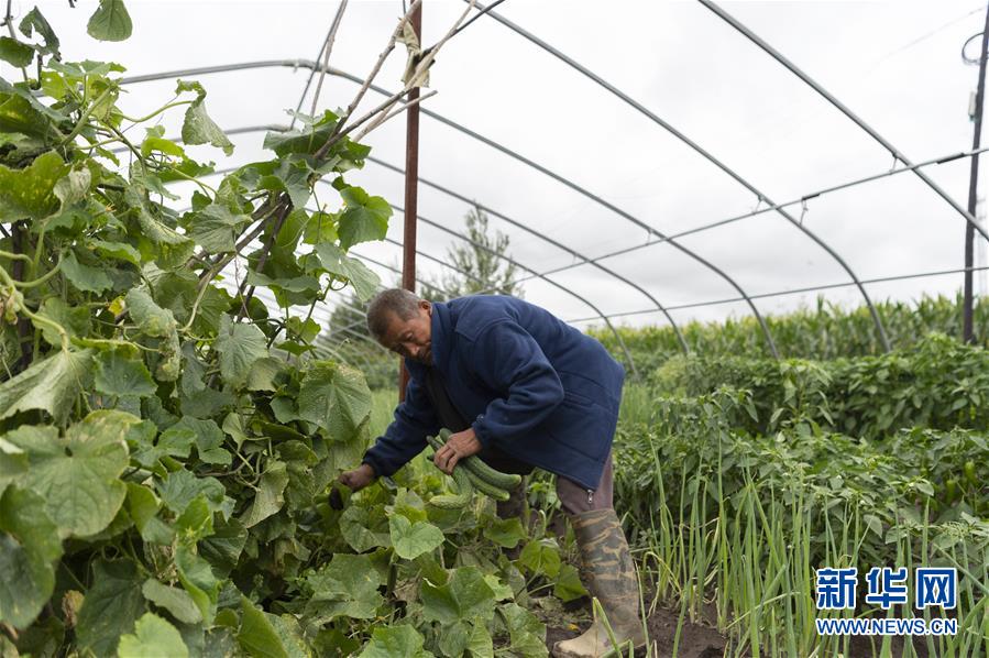 （決戰(zhàn)決勝脫貧攻堅&middot;圖文互動）（1）老張的菜園