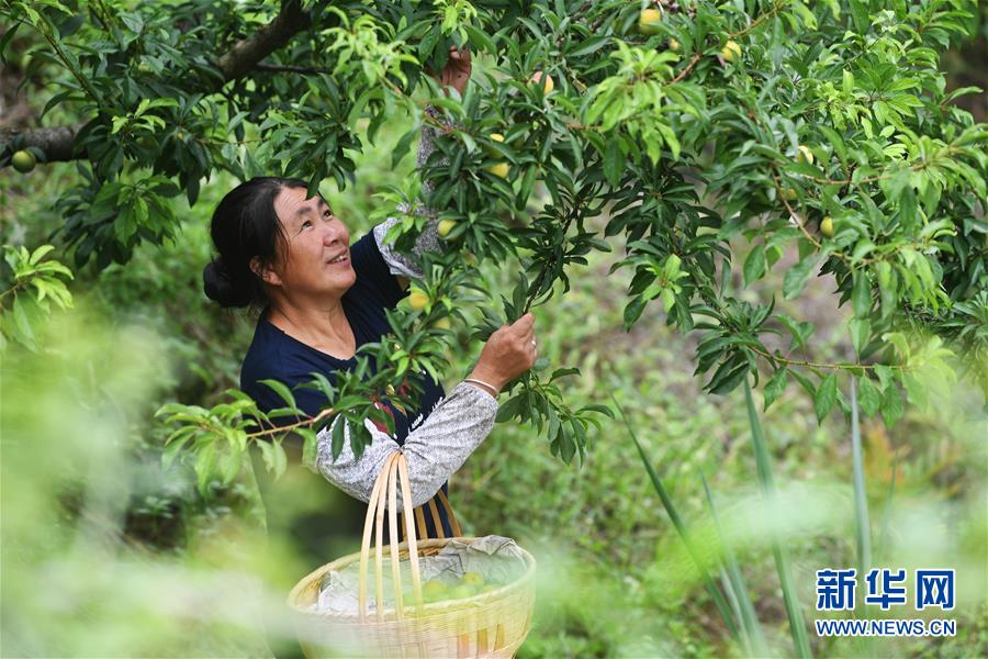 （新華全媒頭條&middot;走向我們的小康生活&middot;圖文互動）（7）大城大鄉(xiāng)的&ldquo;幸福協(xié)奏曲&rdquo;&mdash;&mdash;重慶推動高質(zhì)量發(fā)展創(chuàng)造高品質(zhì)生活紀事