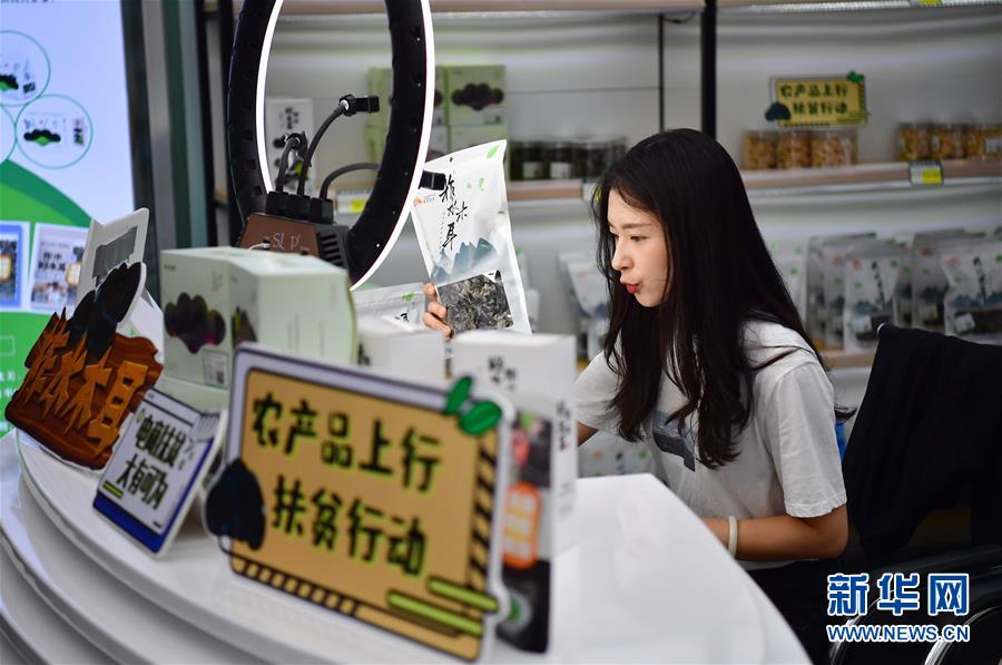 （走向我們的小康生活&middot;圖文互動(dòng)）（3）綠了青山，紅了日子&mdash;&mdash;秦巴山區(qū)群眾繪出小康&ldquo;調(diào)色板&rdquo;