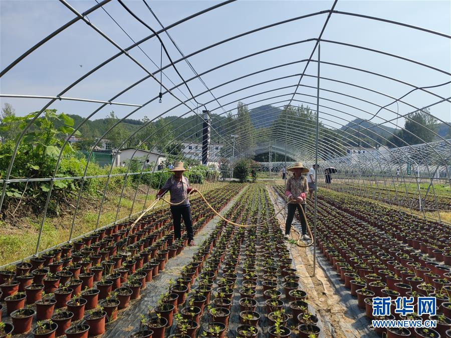 （決戰(zhàn)決勝脫貧攻堅&middot;圖文互動）（3）安居樂業(yè)并重，搬遷脫貧同步&mdash;&mdash;湖北88萬搬遷群眾脫貧觀察 