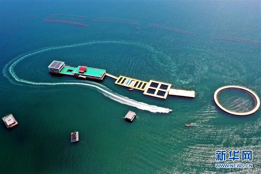 （圖文互動）（2）把&ldquo;試驗田&rdquo;種成&ldquo;高產(chǎn)田&rdquo;&mdash;&mdash;記中國（山東）自由貿(mào)易試驗區(qū)設(shè)立一周年