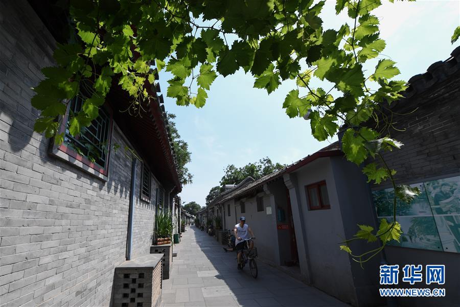 （走向我們的小康生活&middot;圖文互動）（1）小橋、流水、書香、人家&mdash;&mdash;老北京胡同里的恬靜棲居